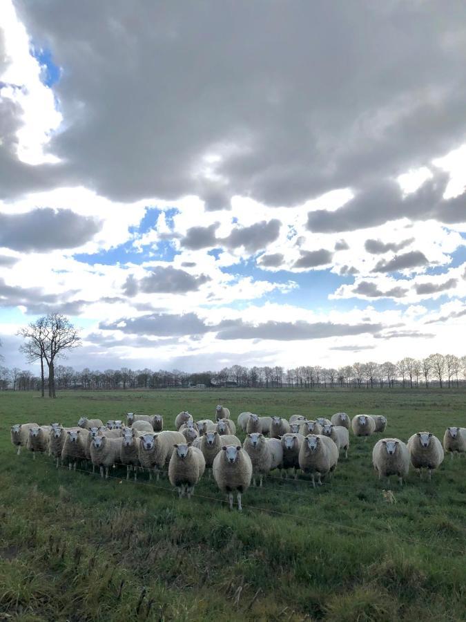 B&B De Tuinfluiter Nieuwleusen Buitenkant foto