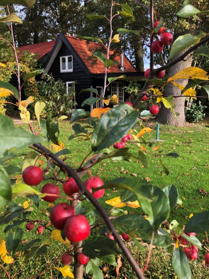 B&B De Tuinfluiter Nieuwleusen Buitenkant foto
